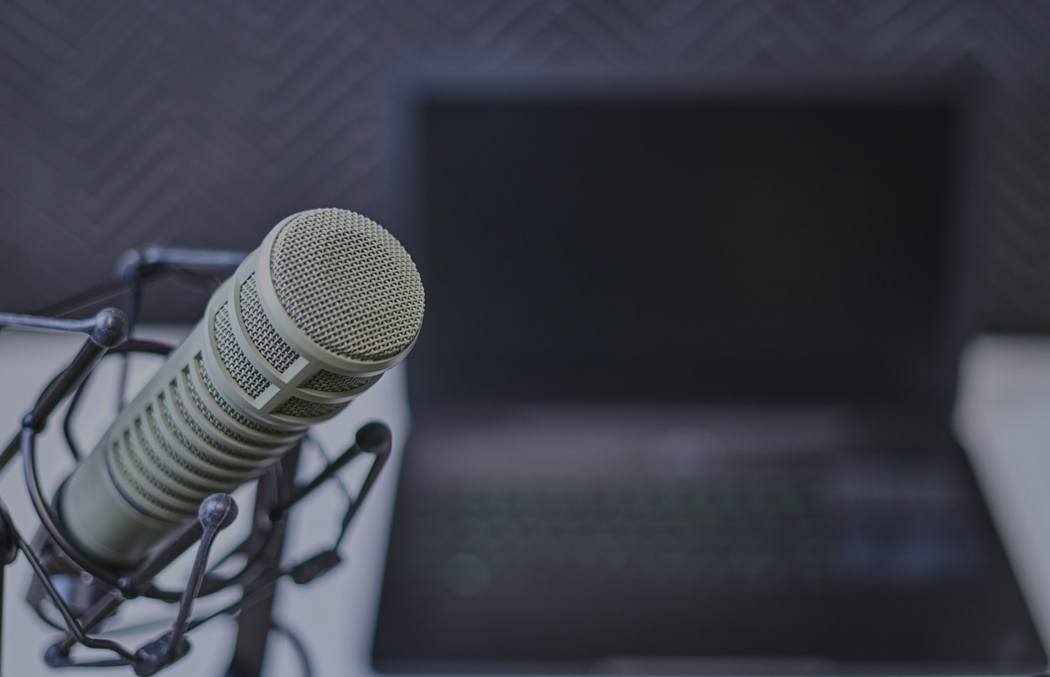 Connecting Through Voices and Perspectives